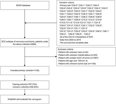 Crafting a prognostic nomogram for the overall survival rate of cutaneous verrucous carcinoma using the surveillance, epidemiology, and end results database